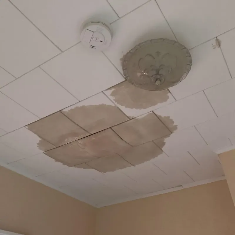 Ceiling Water Damage Repair in Parkersburg, IA