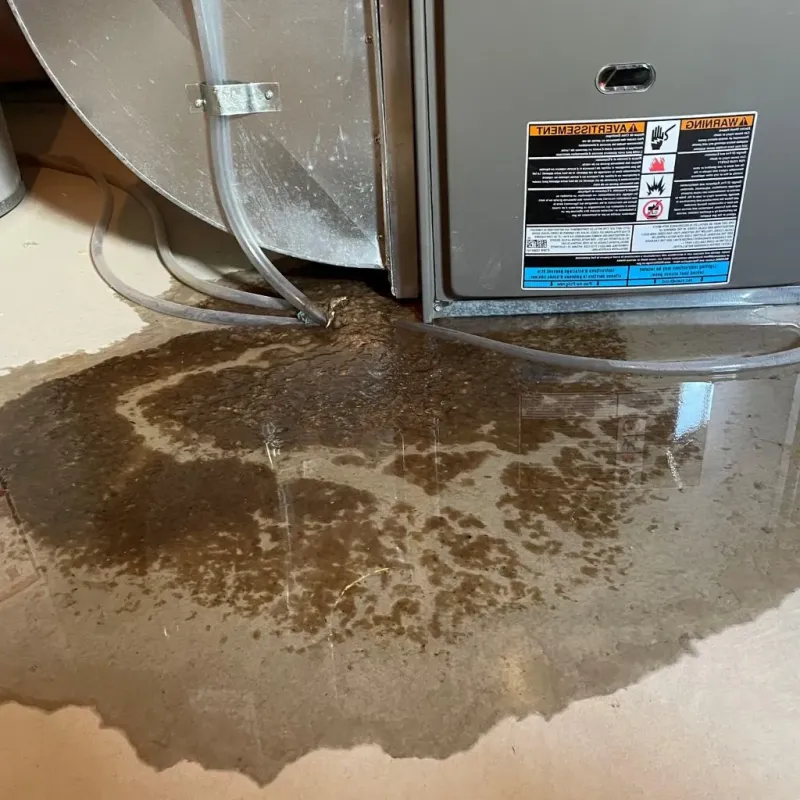 Pipe Burst and Leak Restoration in Parkersburg, IA