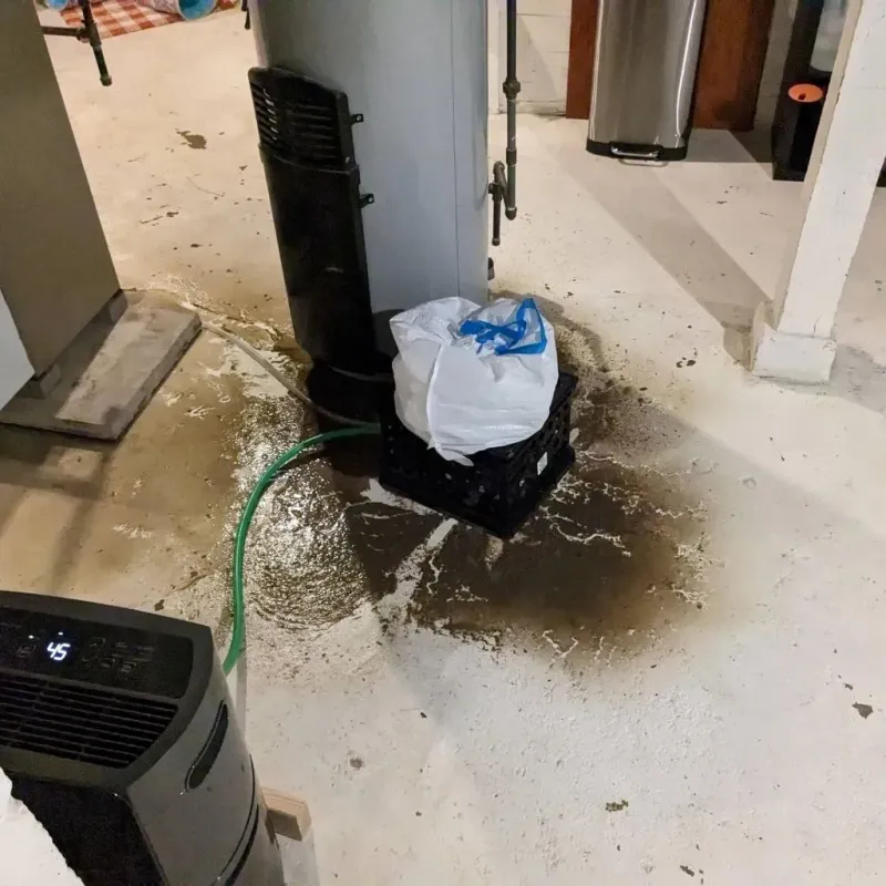 Sewage Backup Cleanup Service in Parkersburg, IA